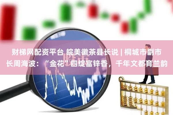 财梯网配资平台 皖美徽茶县长说 | 桐城市副市长周海波：“金花”四绽富锌香，千年文都育兰韵