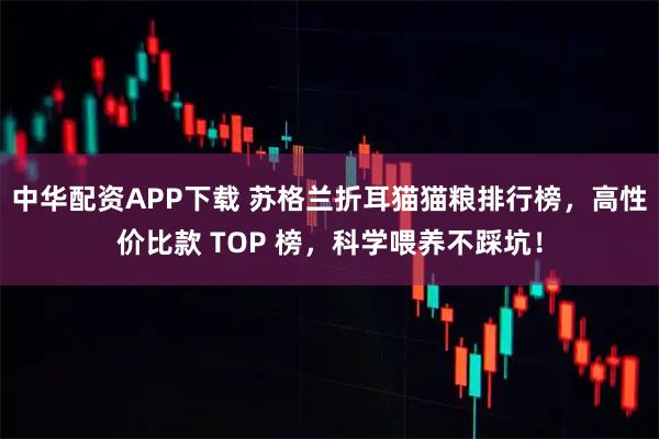 中华配资APP下载 苏格兰折耳猫猫粮排行榜，高性价比款 TOP 榜，科学喂养不踩坑！