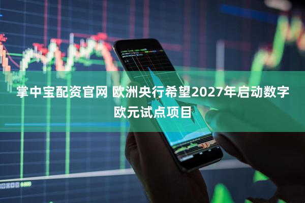 掌中宝配资官网 欧洲央行希望2027年启动数字欧元试点项目