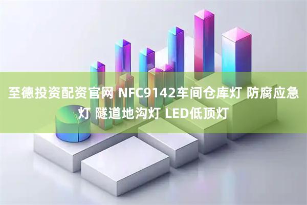 至德投资配资官网 NFC9142车间仓库灯 防腐应急灯 隧道地沟灯 LED低顶灯