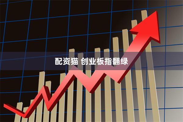 配资猫 创业板指翻绿