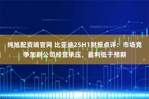 纯旭配资端官网 比亚迪25H1财报点评：市场竞争加剧公司经营承压，盈利低于预期